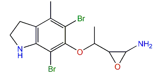 Ceratinine B